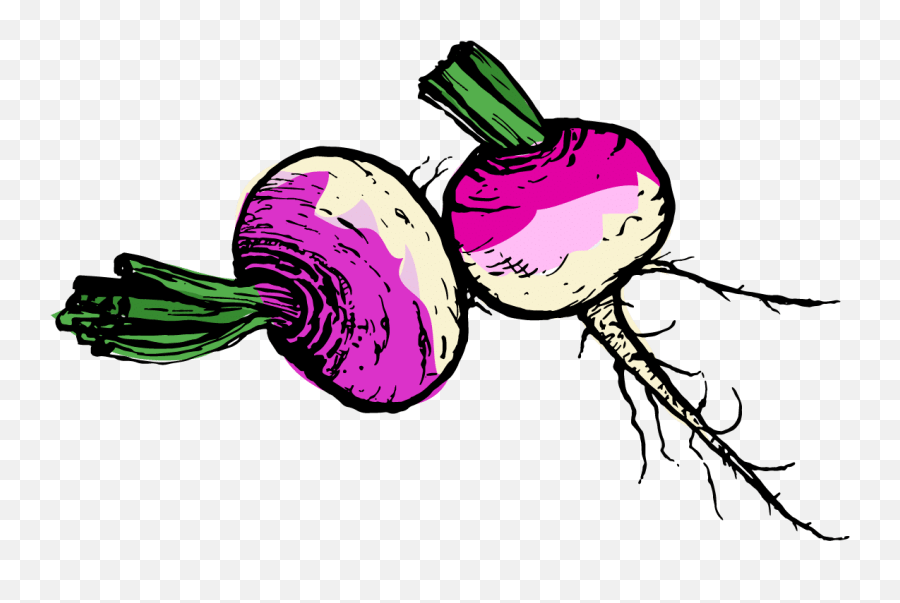 Turnip Images Clipart Turnips Clipart Emoji,Turnip Emoji free