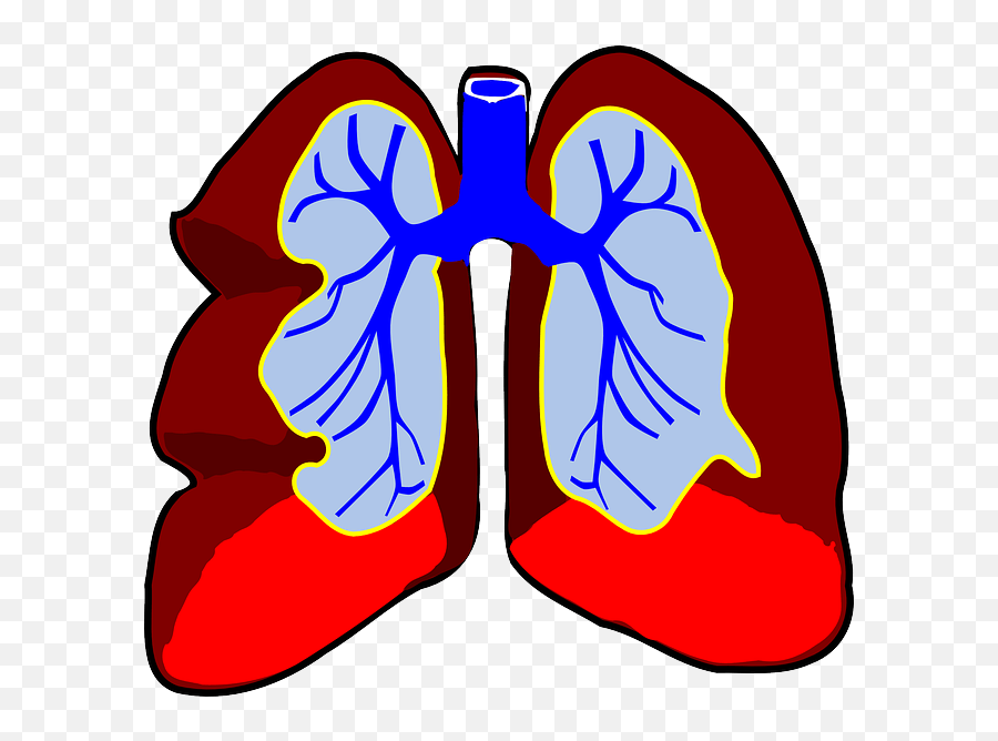 Lungs Clipart Emoji Lungs Emoji Lungs Clip Art,Lung Emoji free