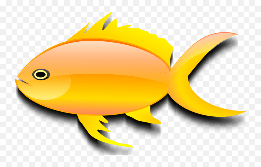 Library Of Fish In A Bowl Picture Freeuse Png Files Gold Fish Clip