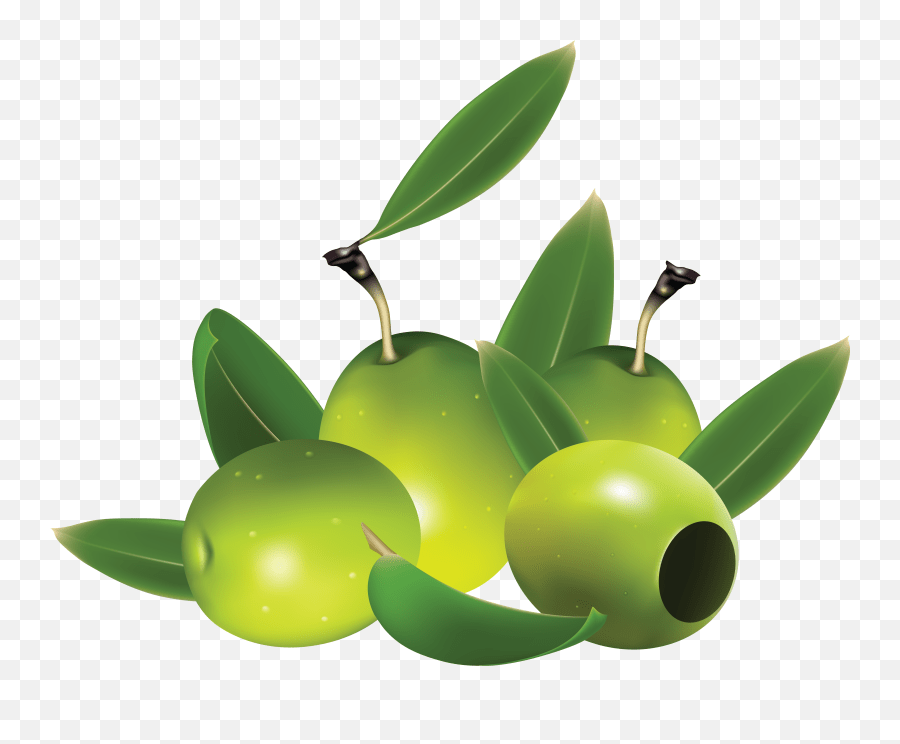 Olive Clipart Green Food Olive Green Food Transparent Free Best Olive