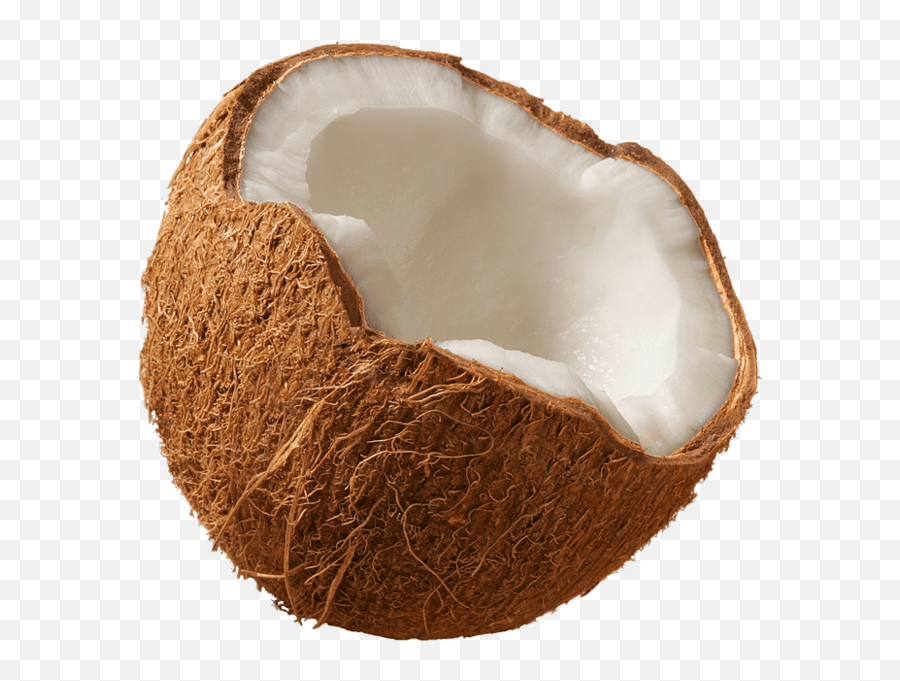 Coconut Transparent Background Coconut Png Emoji,Emoji Coconut free