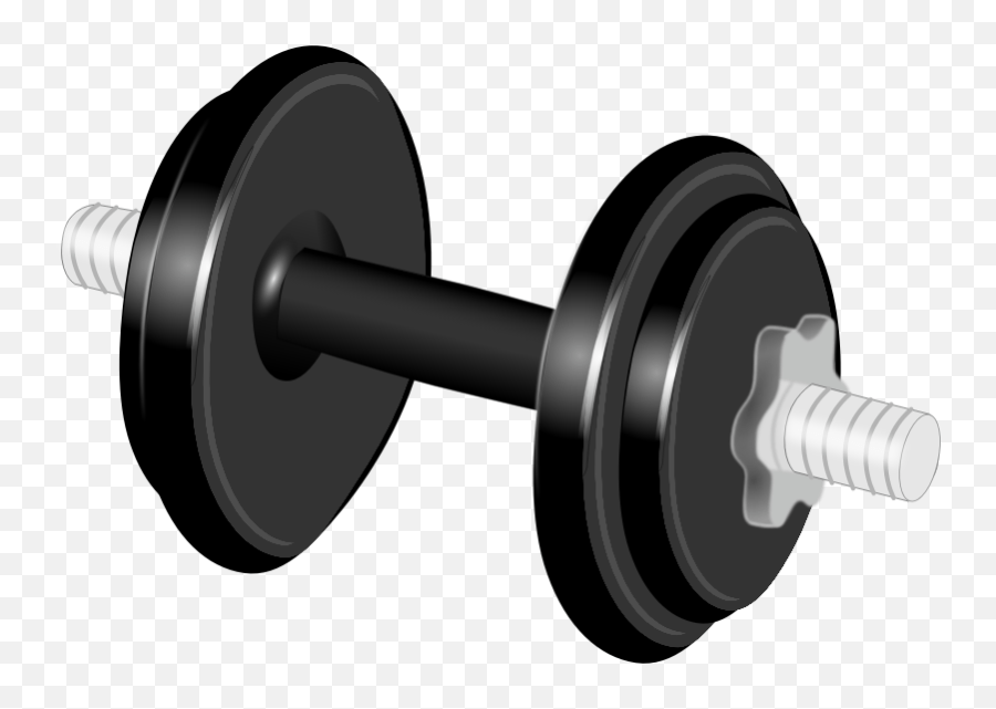 Fitness Clipart Weight Lifting Fitness Weight Lifting Kurzhantel