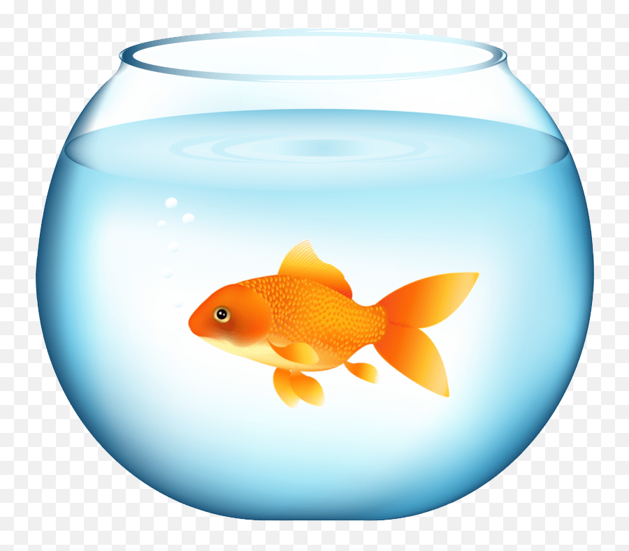Goldfish Png Goldfish Emoji,Don T Care Emoji free transparent emoji