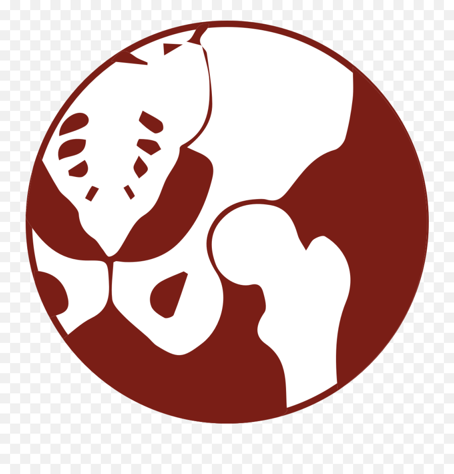 Hip And Knee Surgery In Fort Lauderdale Total Hip Replacement Logo