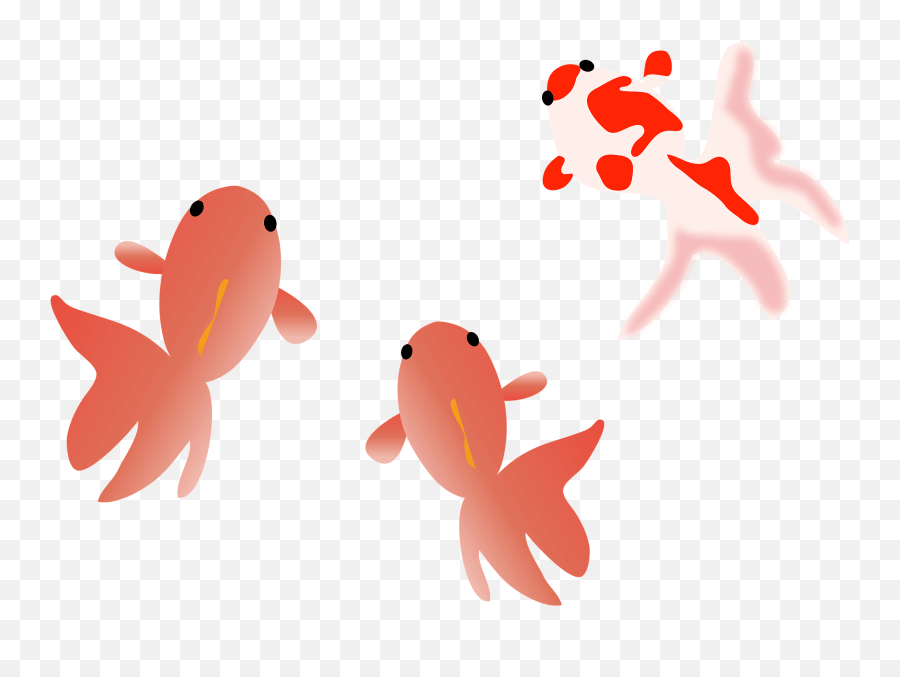 Goldfish Clipart Aquarium Fish Emoji,Goldfish Emoji free