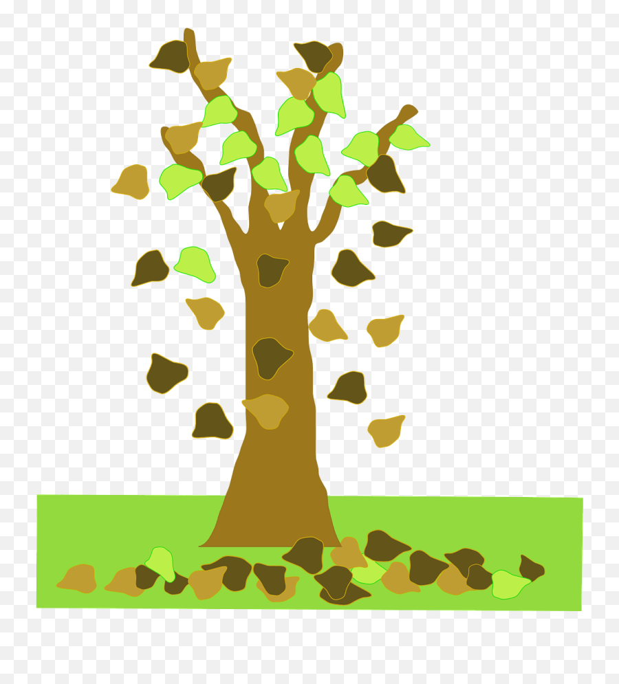 Tree Autumn Fall Plant Falling Leaves Falling Tree Cartoon Leaves