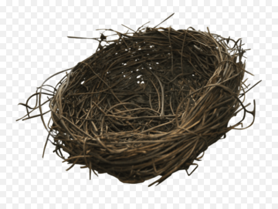 Bird Nest Twig Emoji,Bird Nest Emoji free transparent emoji