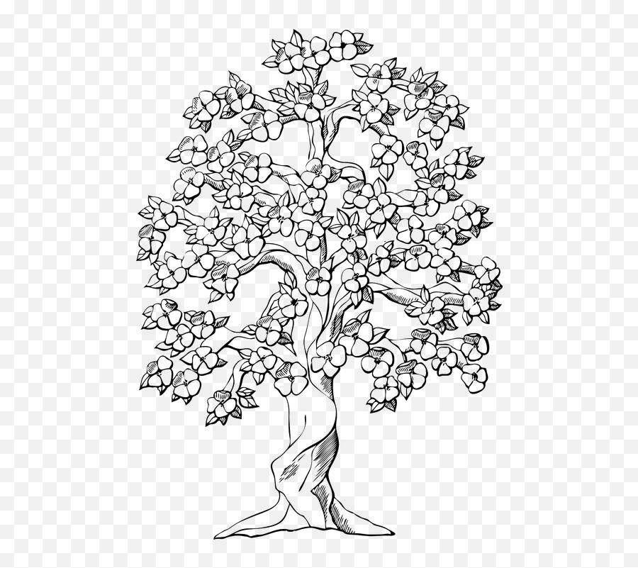 Flowering Tree Cherry Blossoms Flower Cute Coloring Pages Emoji,Apple