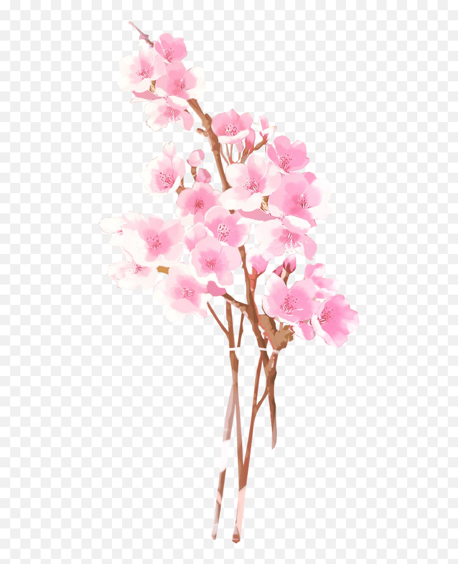 Sakura Flower Png Cherry Blossom Anime Png Emoji,Japanese Emoji