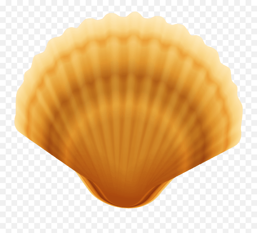 Clam Shell Clam Oyster Png Emoji,Clam Shell Emoji free transparent