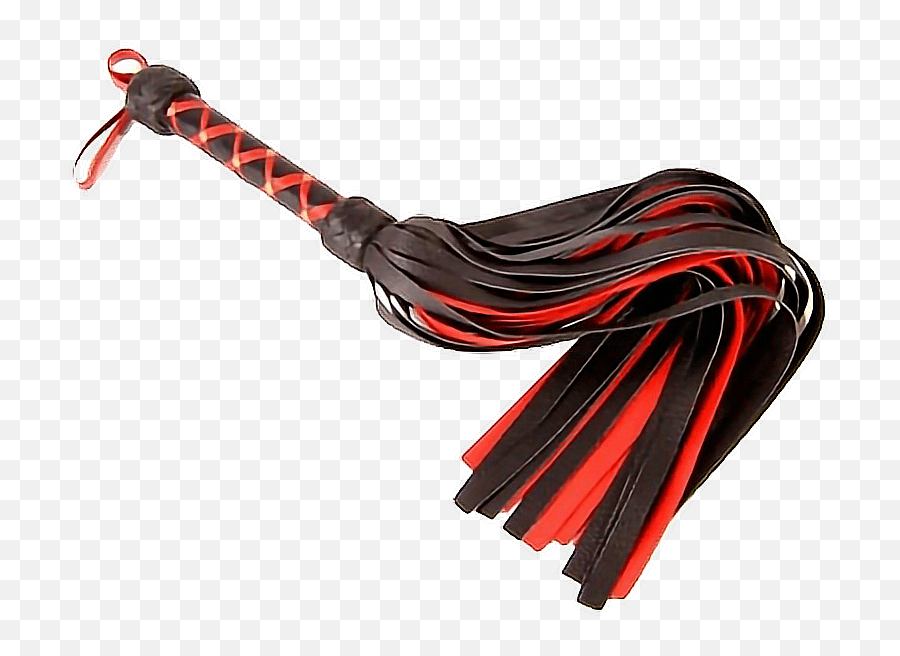 Flogger Whip Kink Kinky Sticker By Goosebumpsbitch Transparent