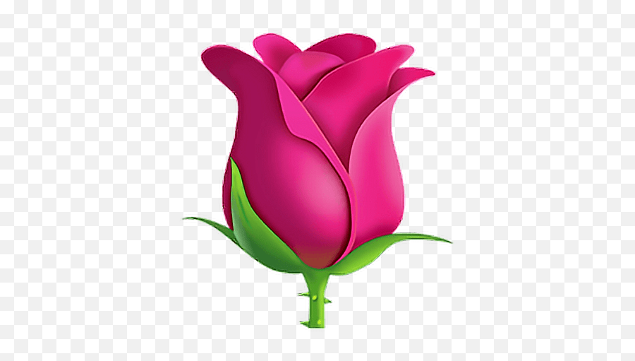 Emoji Pink Rose Emoji,Bouquet Emoji free transparent emoji