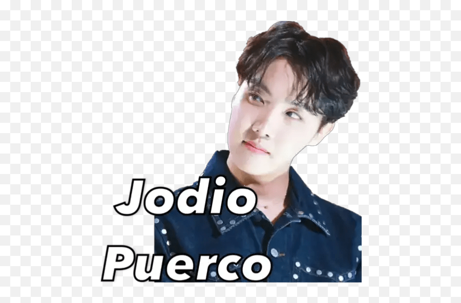 Bts Stickers For Whatsapp Bts Stickers Para Whatsapp Emoji,Bts Animal