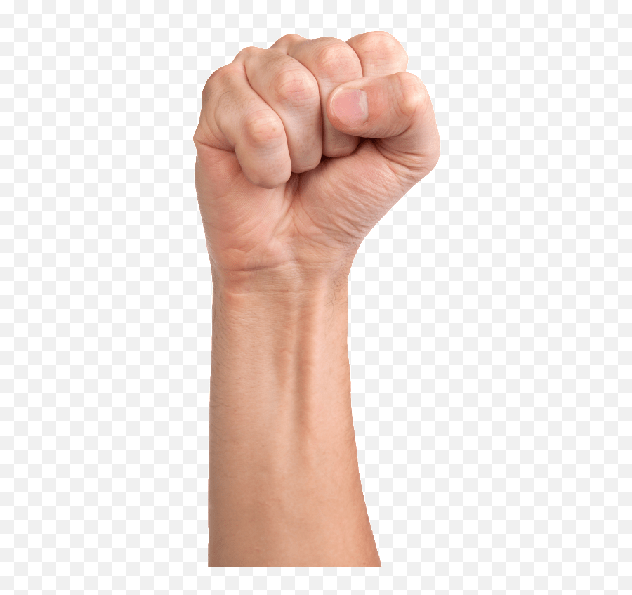 Fist Fist Hand Png Emoji,Fisting Emoji free transparent emoji