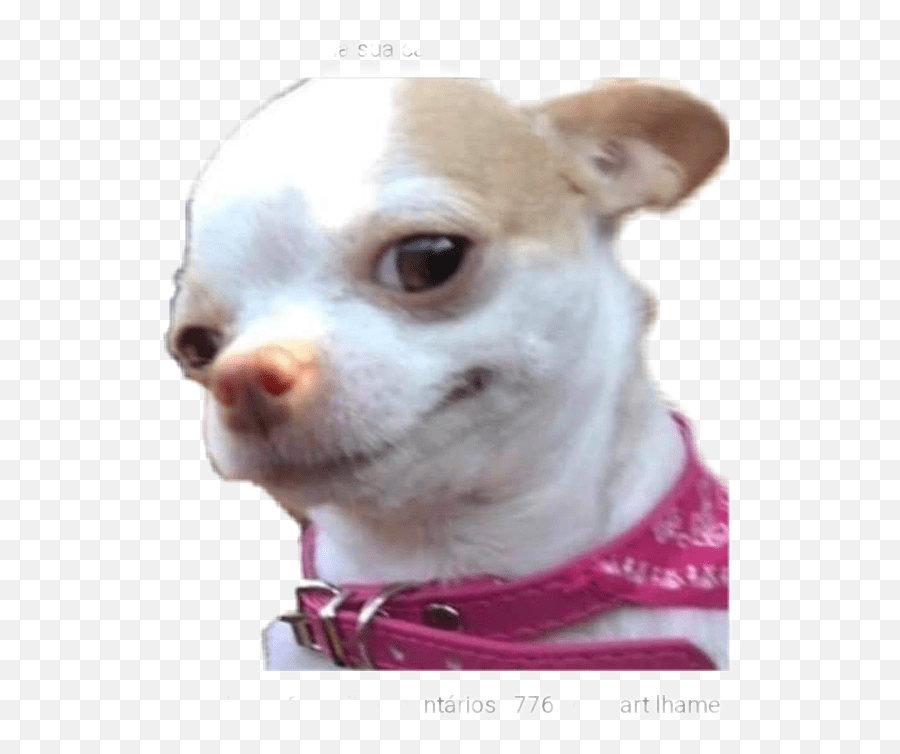 Chihuahua Chihuahua Sticker Emoji,Chihuahua Emoji free transparent