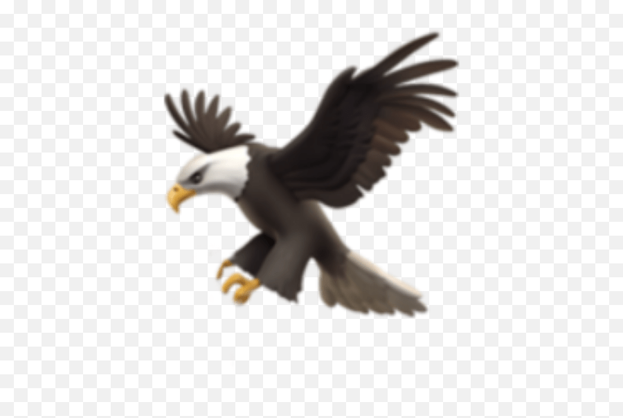 Emoji Iphone Aquila Bald Eagle,Eagle Emoji Iphone free transparent