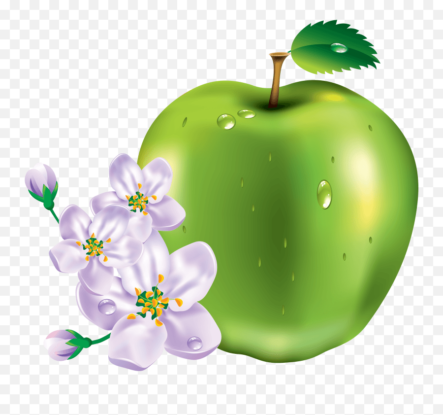 15 Green Apple Png Image Flower And Apple Icon Emoji,Snapchat Fruit
