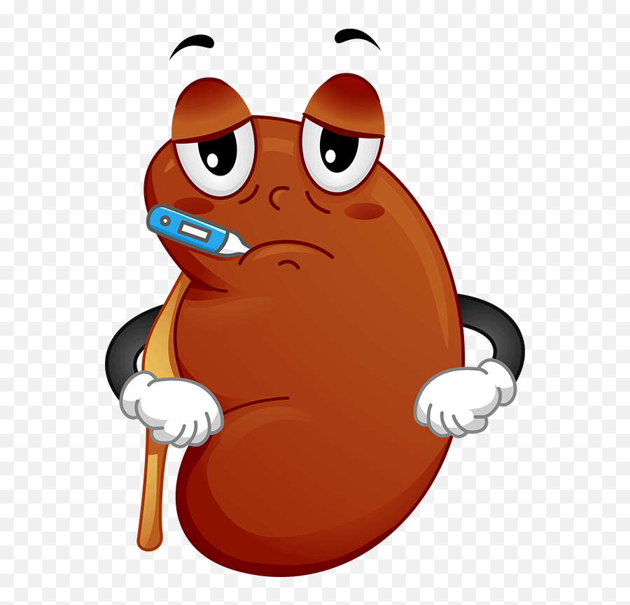 Understanding Clipart Kidney Disease Clipart Emoji,Kidney Emoji