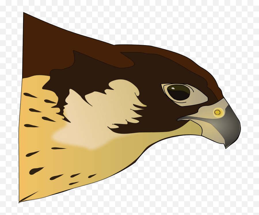 Hawk Clip Art Free 3 Png Clipart Hawk Emoji,Hawks Emoji free transparent emoji