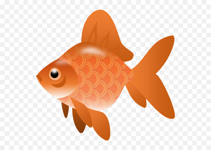 Koi Fish Clipart Transparent Transparent Background Fish Clipart