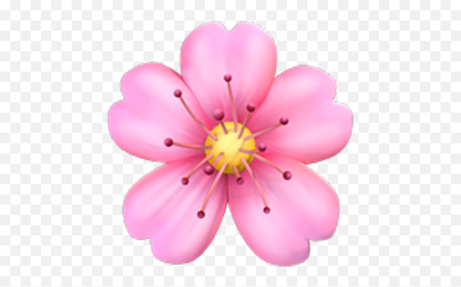 Lucymy Pink Flower Emoji Png,Flower Emoticon free transparent emoji