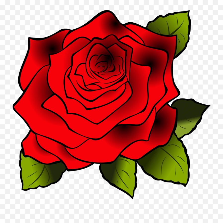 Red Rose Png Svg Clip Art For  Download Clip Art Png Rose Clipart