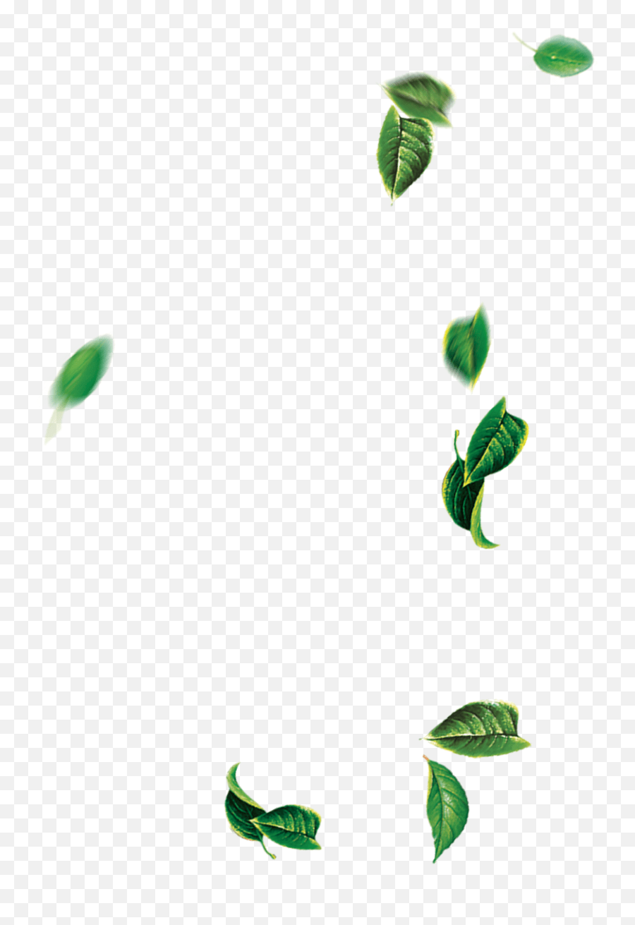 Leaf Green Tree Falling Leaves Png Download 14001400 Tree Leaf Fall