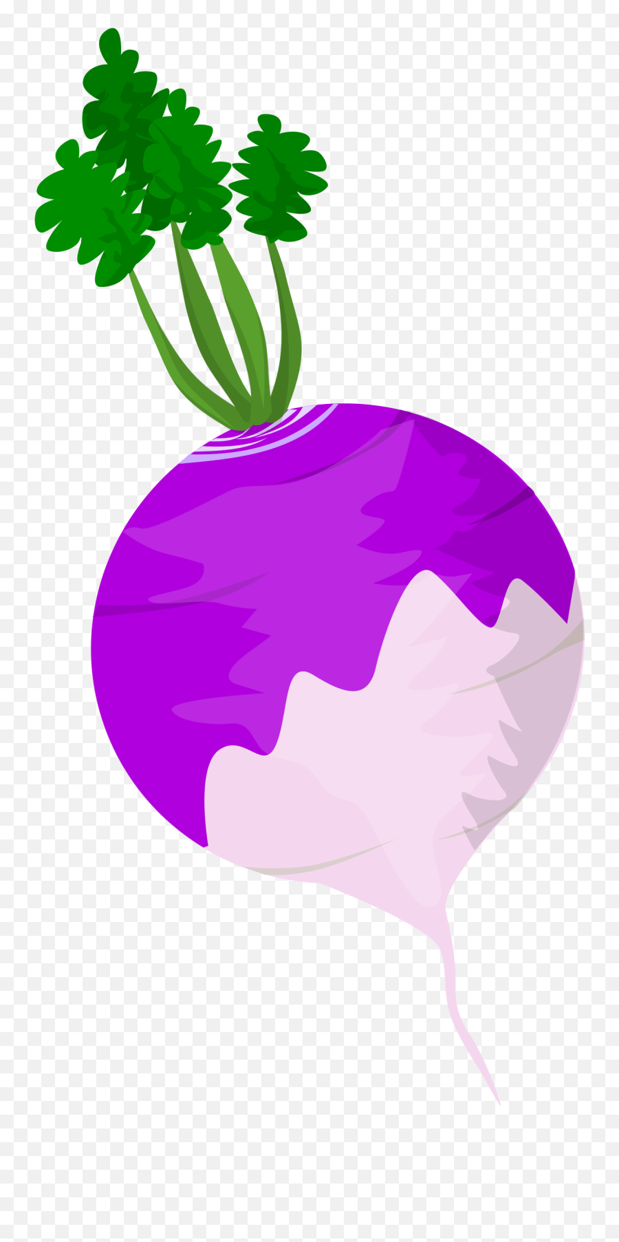 Vegetables Clipart Turnip Turnip Clipart Emoji,Turnip Emoji free