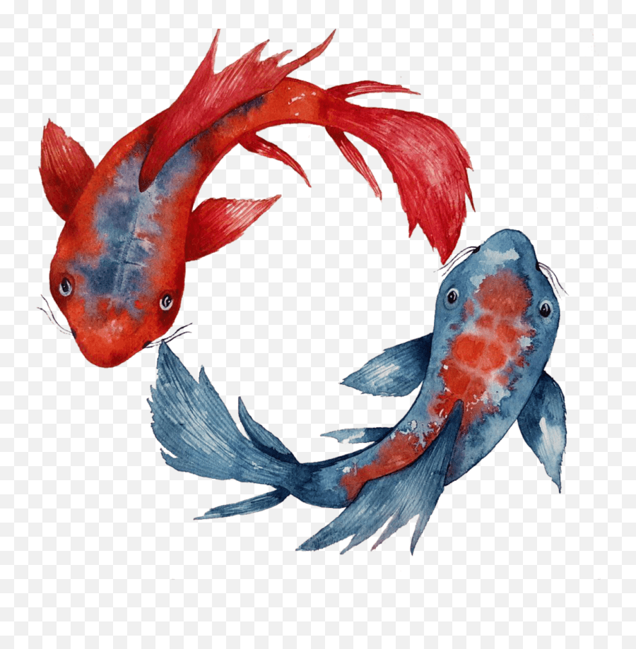 Yin Yang Koi Fish Painting At Koi Fish Yin Yang Png Emoji,Koi Fish