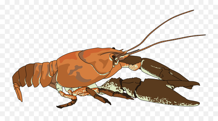 Crayfish Cartoon Png 5 Png Image Crayfish Clip Art Emoji,Lobster