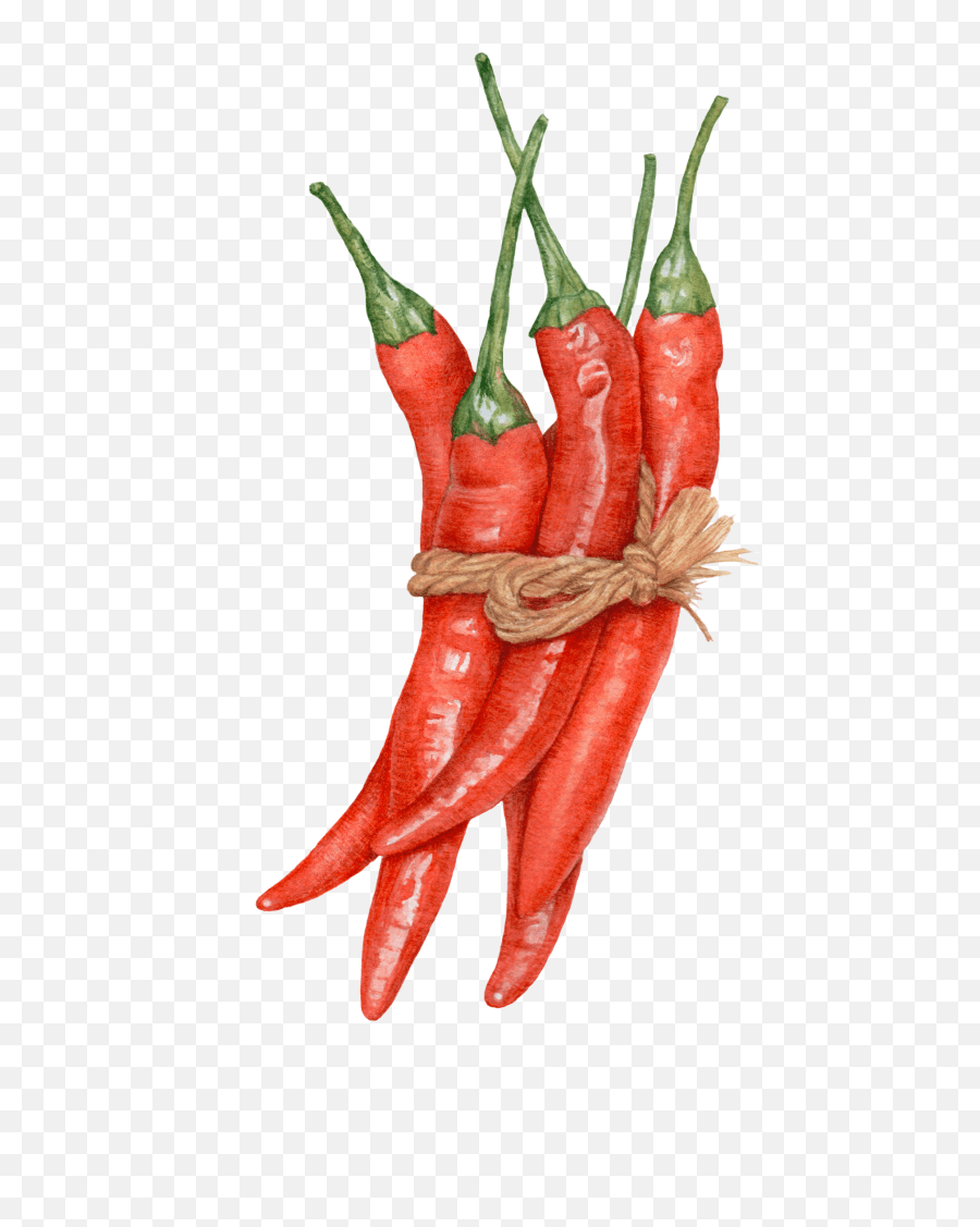 Chili Peppers Freetoedit Chili Illustration Emoji,Chili Emoji free