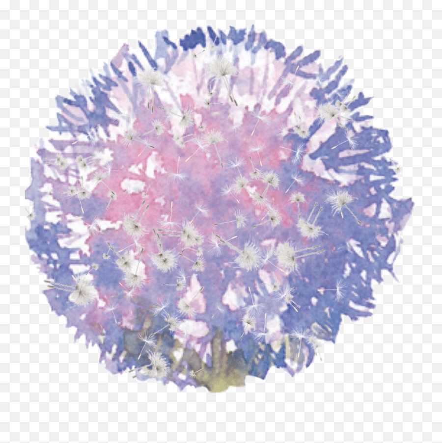 Freetoedit Flower Dandelion Emoji,Dandelion Emoji free transparent