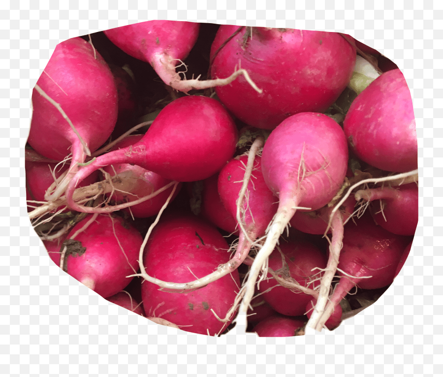 Radish Radishes Veggie Sticker Superfood Emoji,Radish Emoji free