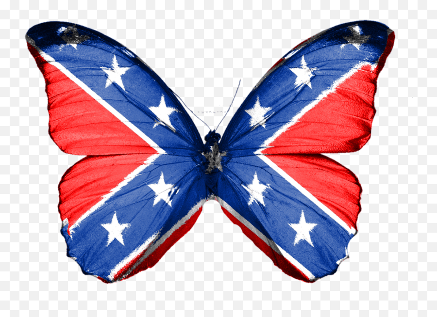 Butterfly Confederate South Rebel Insect Green Butterfly No