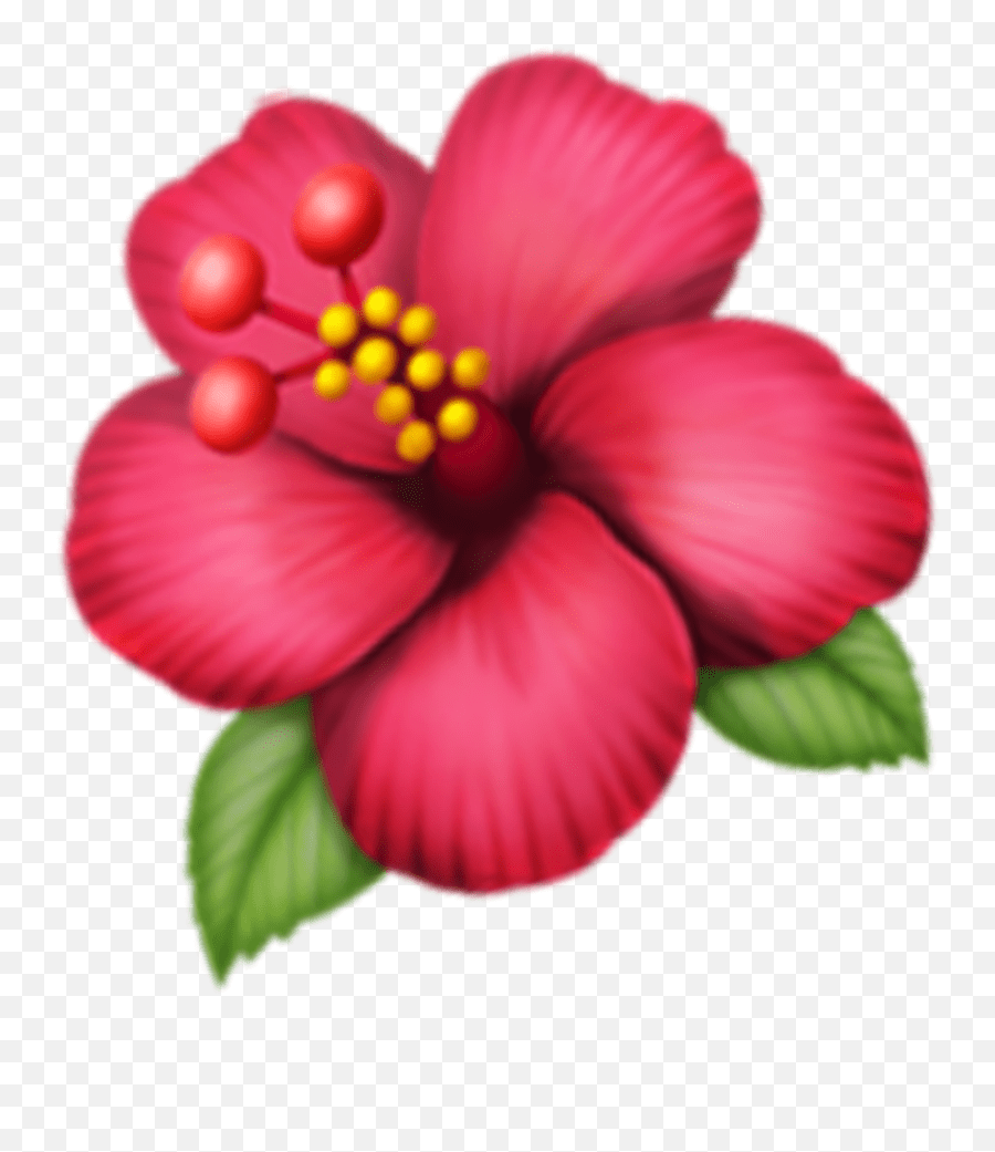 Pink Flower Emoji Png Picture Hawaiian Hibiscus,Red Flower Emoji free transparent emoji