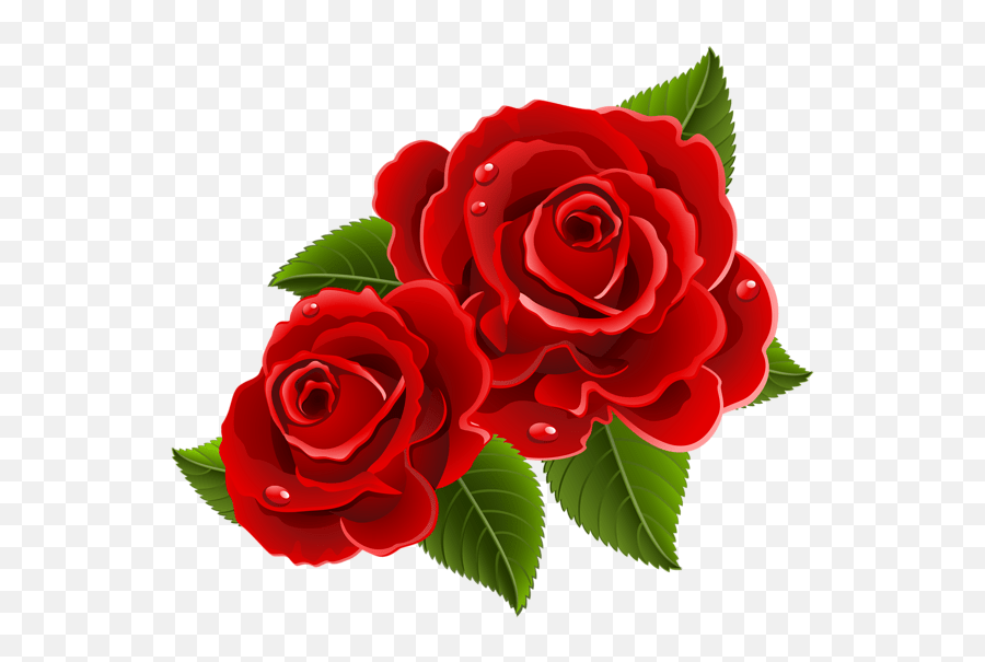 Pin Beautiful Red Flowers Png Emoji,Red Flower Emoji free