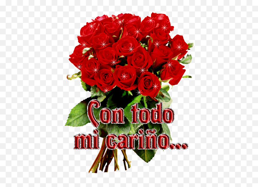 Rosas Gif Beautiful Bouquet Of Flowers Love Flowers Elegant Red Rose