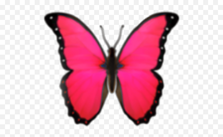 Emoji Butterfly Emojibutterfly Sticker Butterfly Emoji Png,Butterfly
