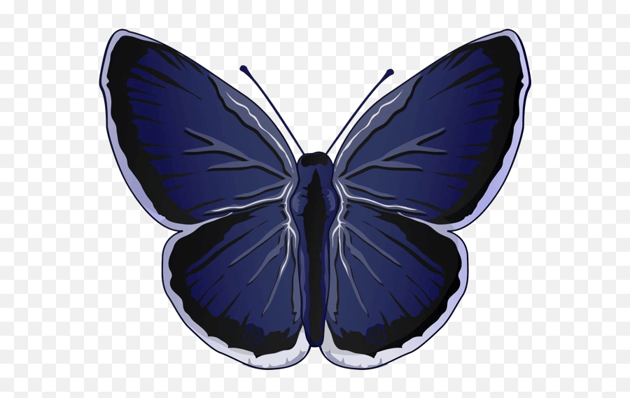 Beautiful Butterfly Sticker Pack Blue Emoji,Butterfly Emoji Ios