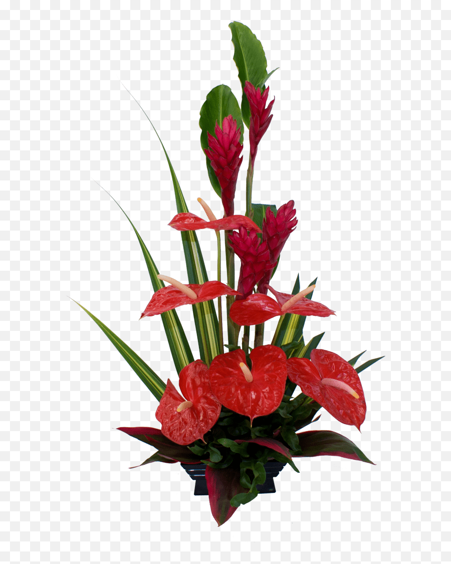 Red Tropical Flower Arrangement Anthurium Flower Lovely Emoji,Bouquet