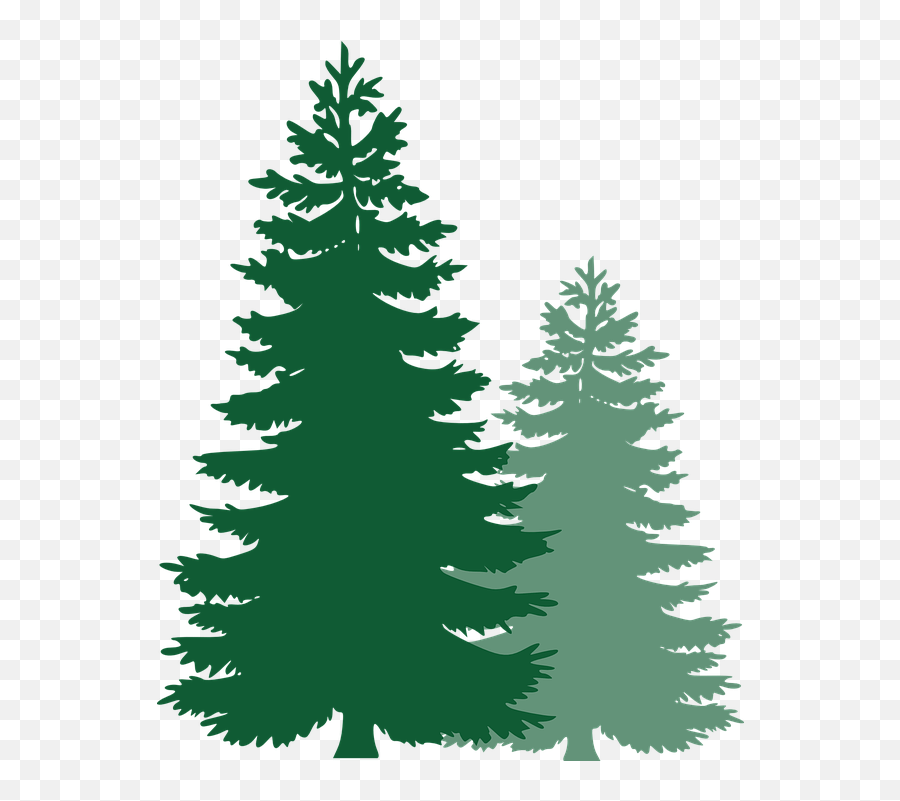 Clipart Trees Evergreen Clipart Trees Vector Pine Tree Png Emoji