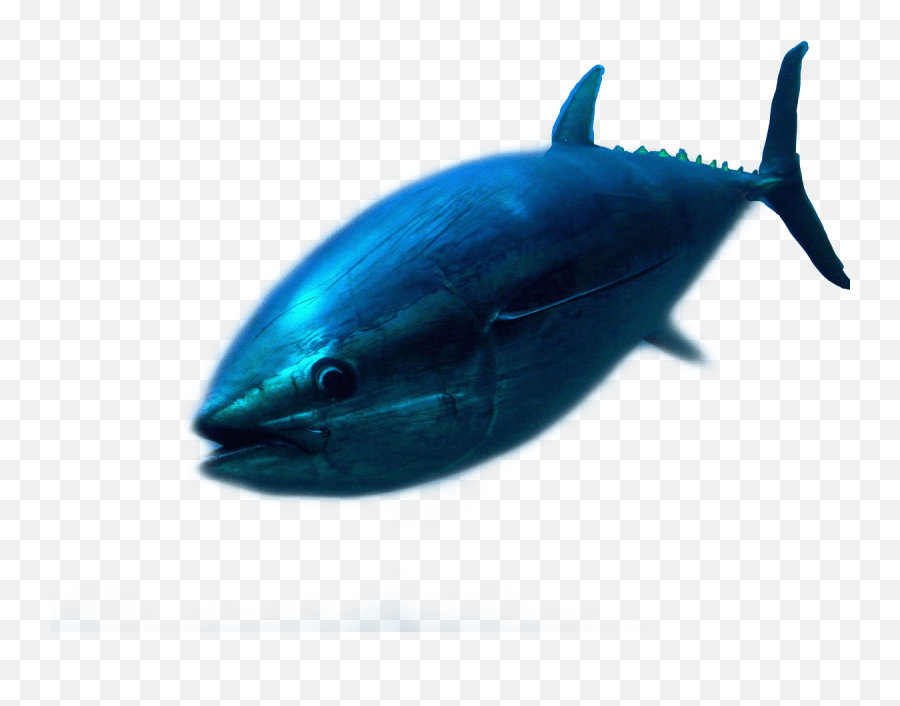 Fish Tuna Freetoedit Billfish Emoji,Tuna Emoji free transparent