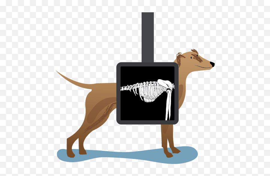 Animal X Rays Clipart Dog X Ray Clipart Emoji,X Ray Emoji free