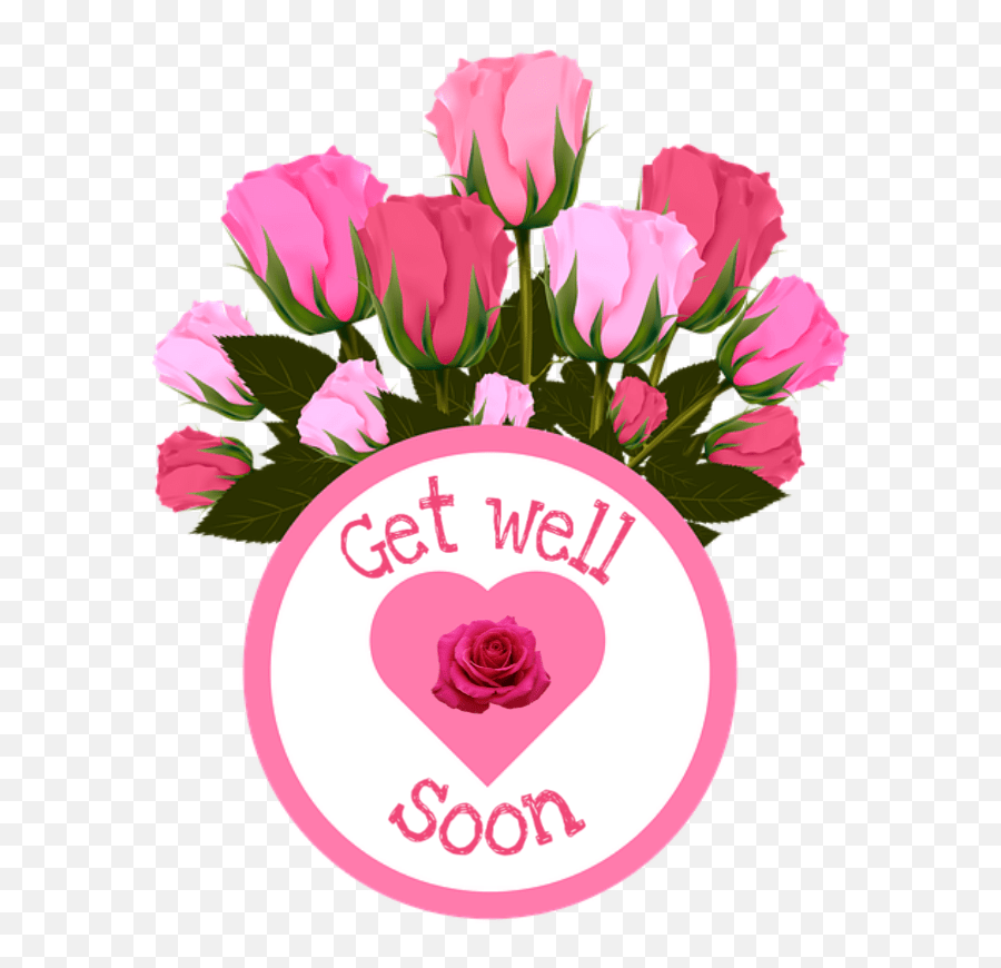 Popular And Trending Get Well Soon Stickers On Picsart Flower New