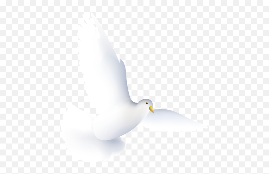 Dove Icon White Dove Icon Png Emoji,Dove Emoji Png free transparent emoji