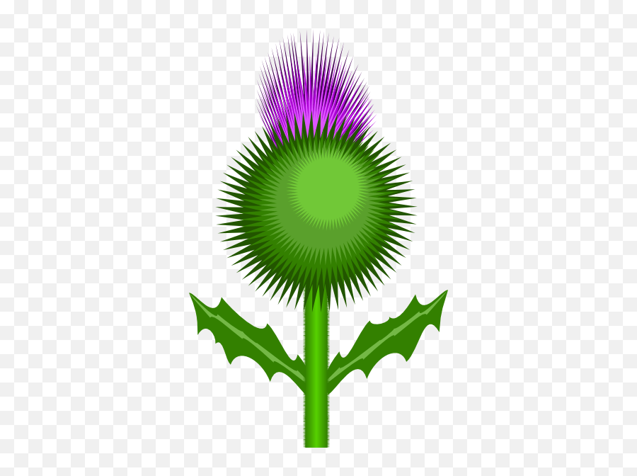 Scottish Thistle Clip Art Poem About One To One Function Emoji