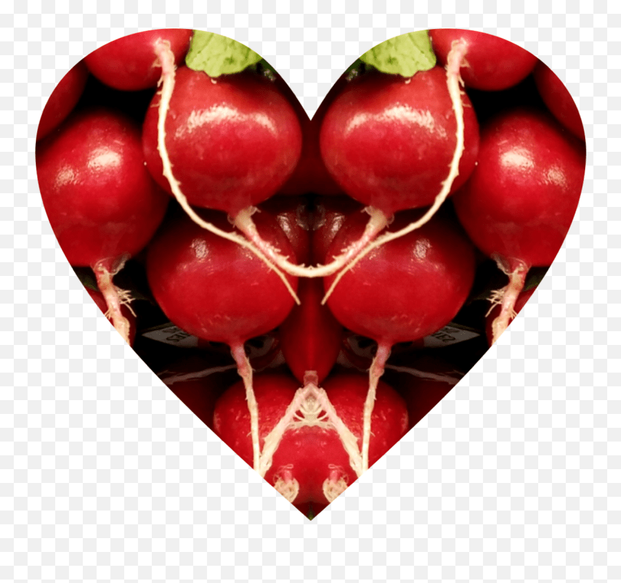 Trending Radish Stickers Radish Emoji,Radish Emoji free transparent