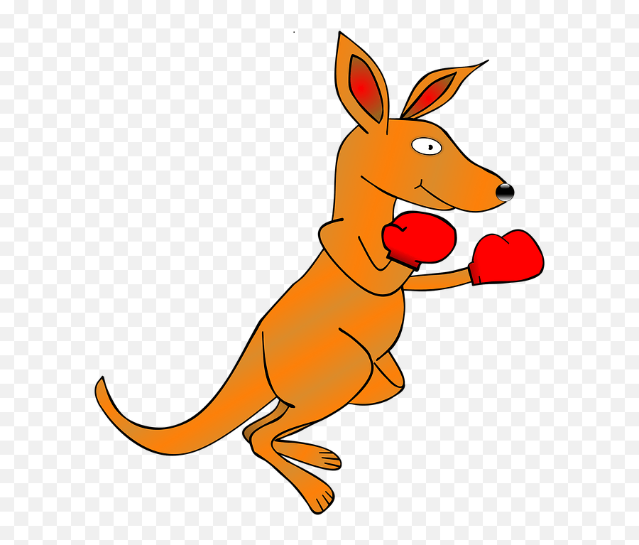 Kangaroo Clip Art Ing Gloves Image Boxing Kangaroo Transparent