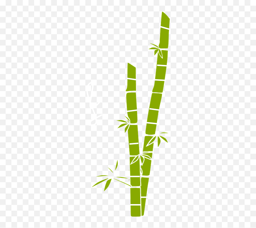 Free Bamboo Panda Vectors Bamboo Clipart Emoji,Bamboo Emoji free