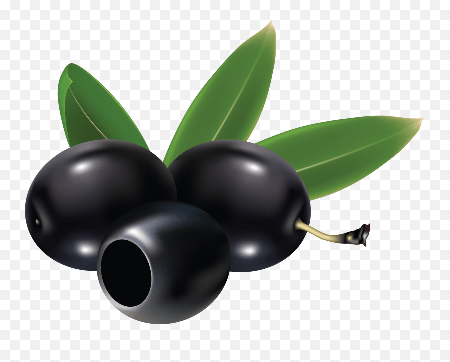 Black Olives Png Clipart Black Olives Clip Art Emoji,Olive Branch